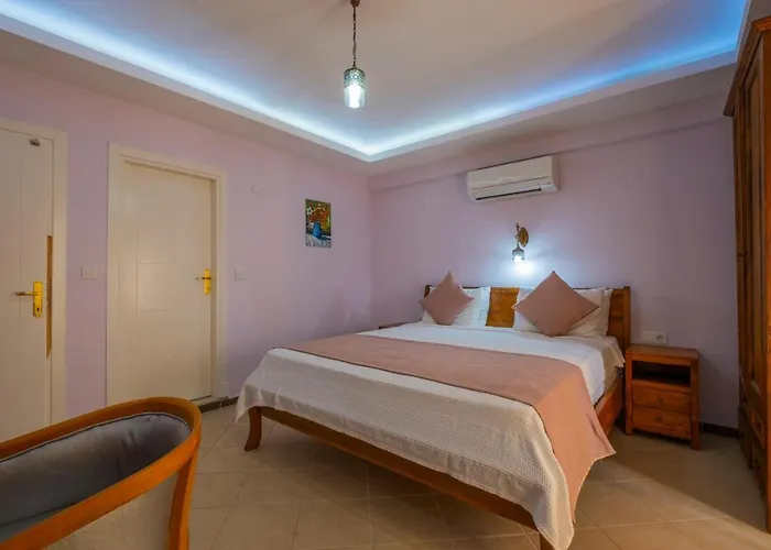 Infinity Civan 페티예