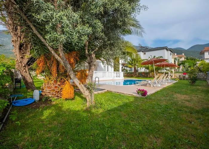 Infinity Civan * Φετιγιέ